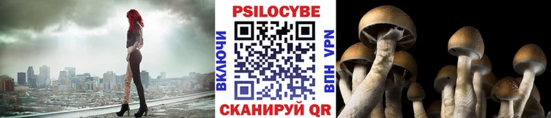 KRAKEN онион  Спас-Клепики  Галлюциногенные грибы ЛСД 